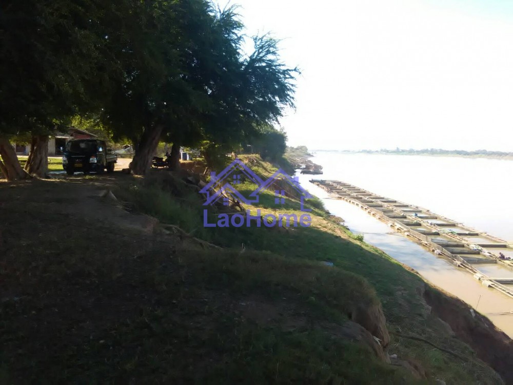 ID: 704 - Land for sale on Mekong river