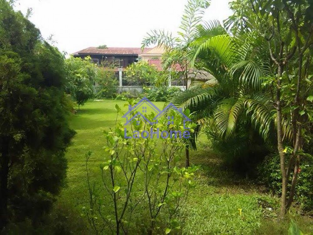 ID: 839 - Large gardens house near JOMA 