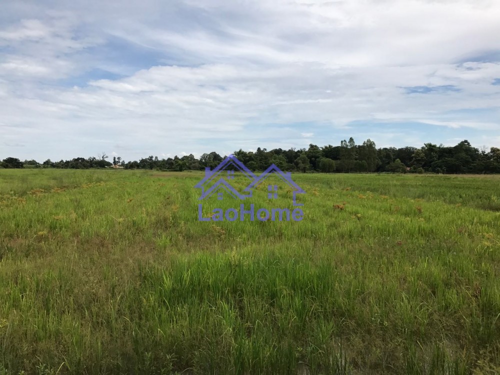 ID: 861 - Land for sale