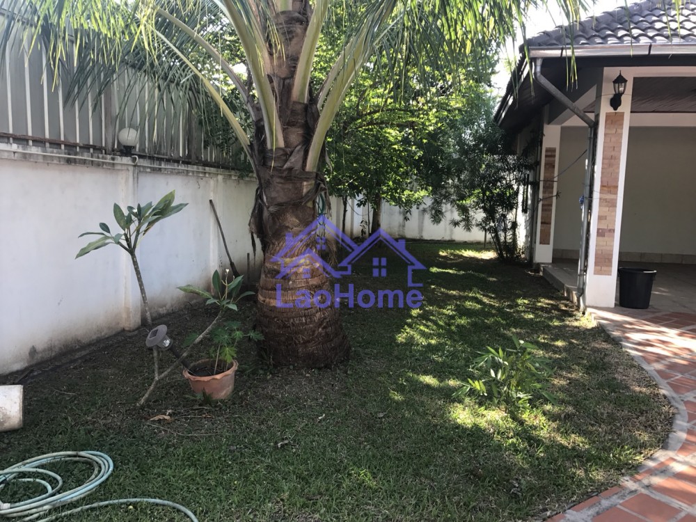 ID: 915 - House for rent with beautiful garden 