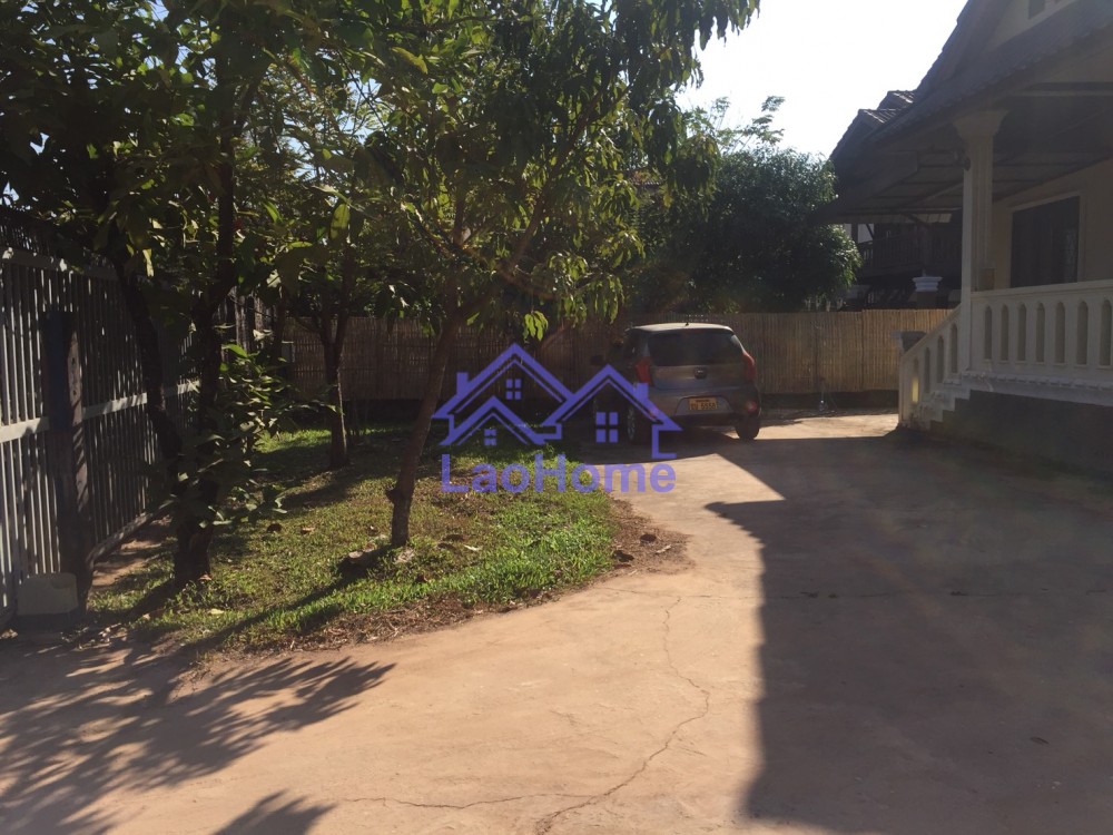 ID: 984 - House for rent and large garden