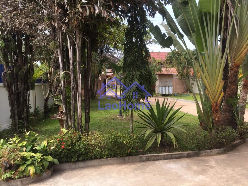 ID: 1037 - House for rent lao style and large garden