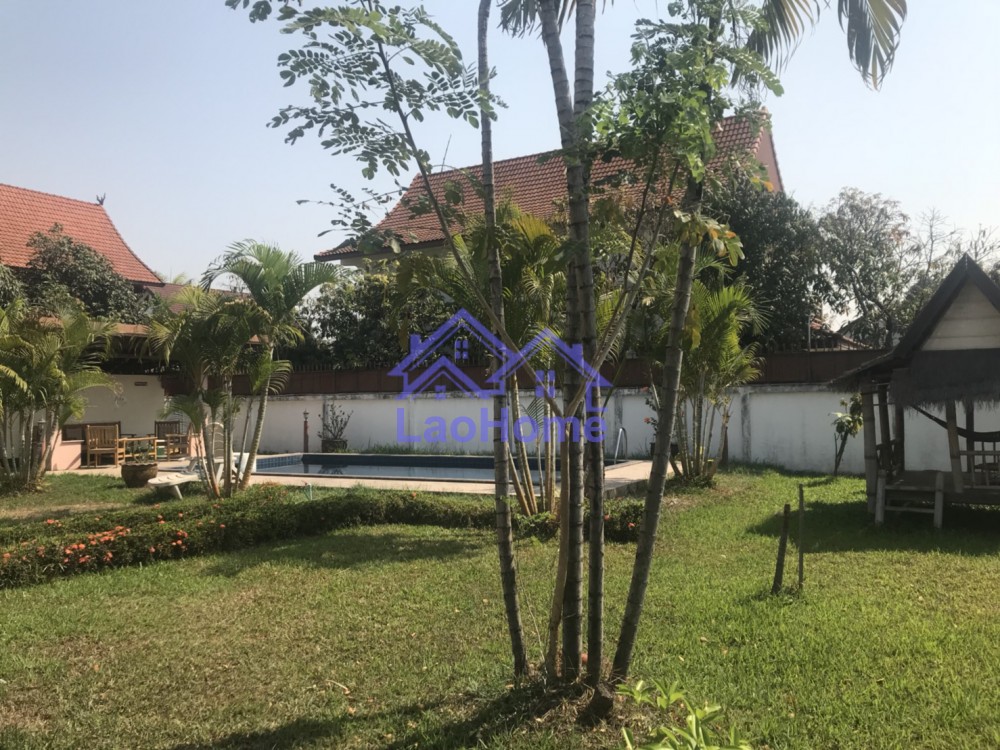 ID: 1075 - Modern Lao style house with garden and swimming pool 