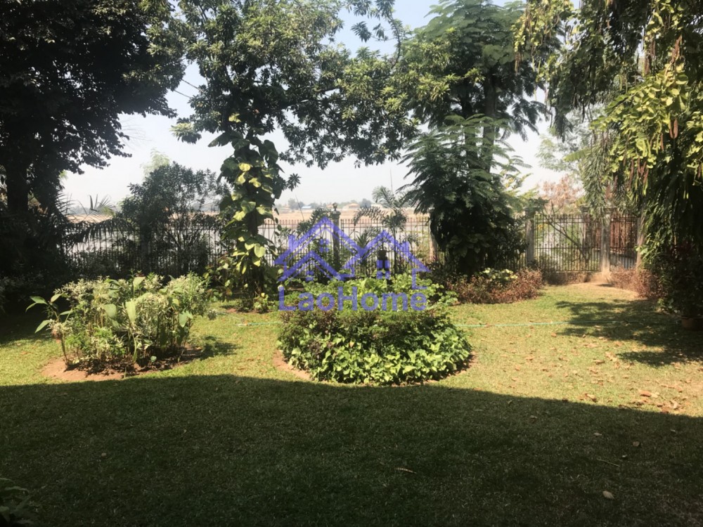 ID: 1076 - Modern Lao style house with large garden