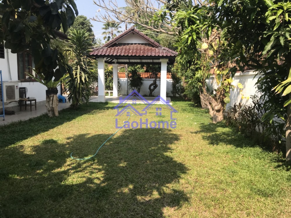 ID: 1088 - house for rent with garden