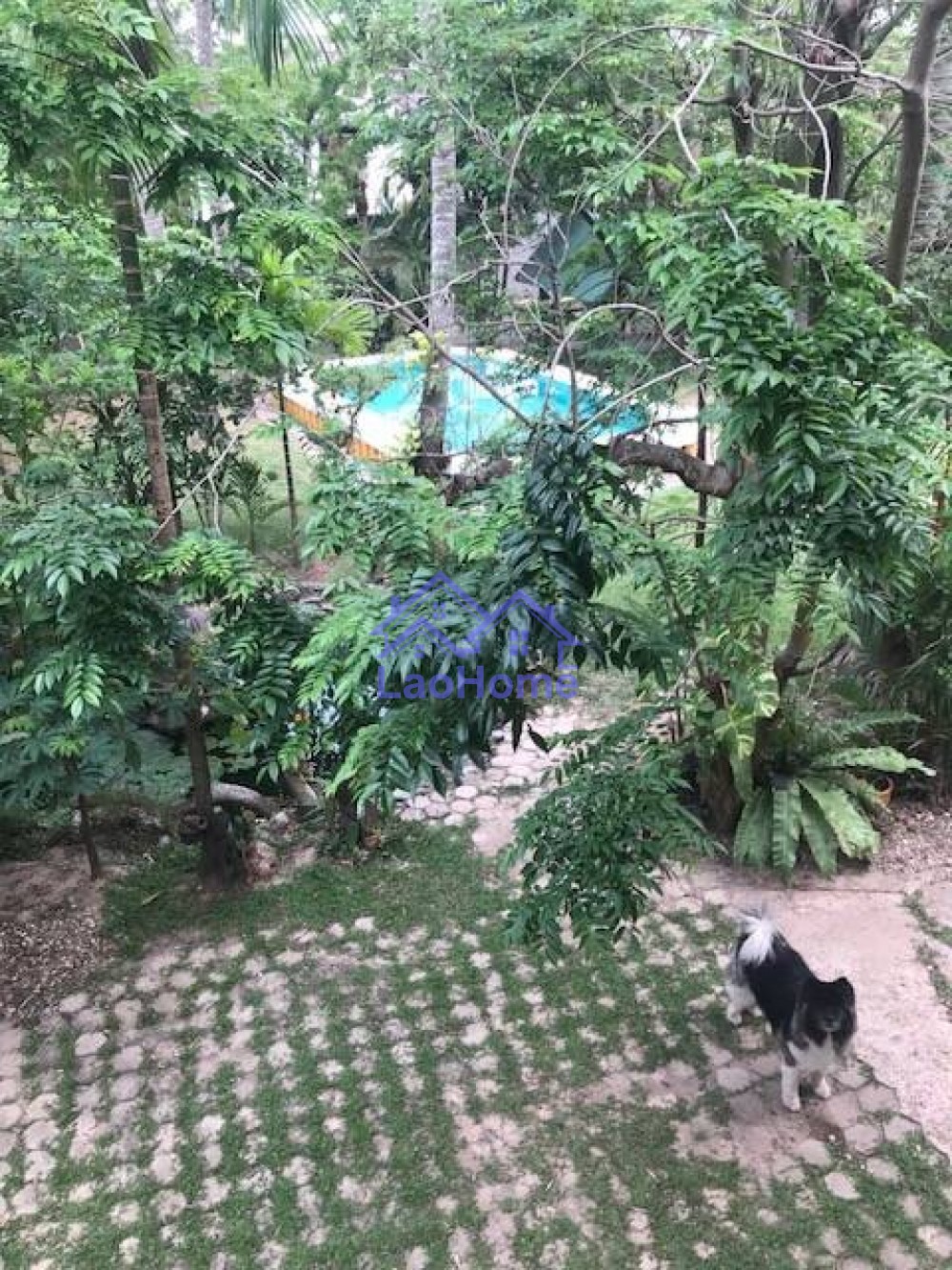 ID: 1092 - House for rent lao style with garden