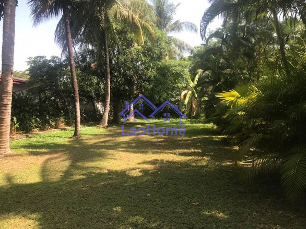 ID: 1104 - Modern Lao style house with garden