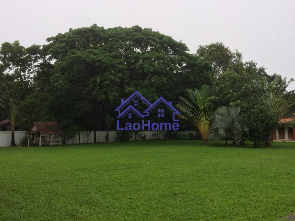 ID: 1184 - House for rent lao style and large garden