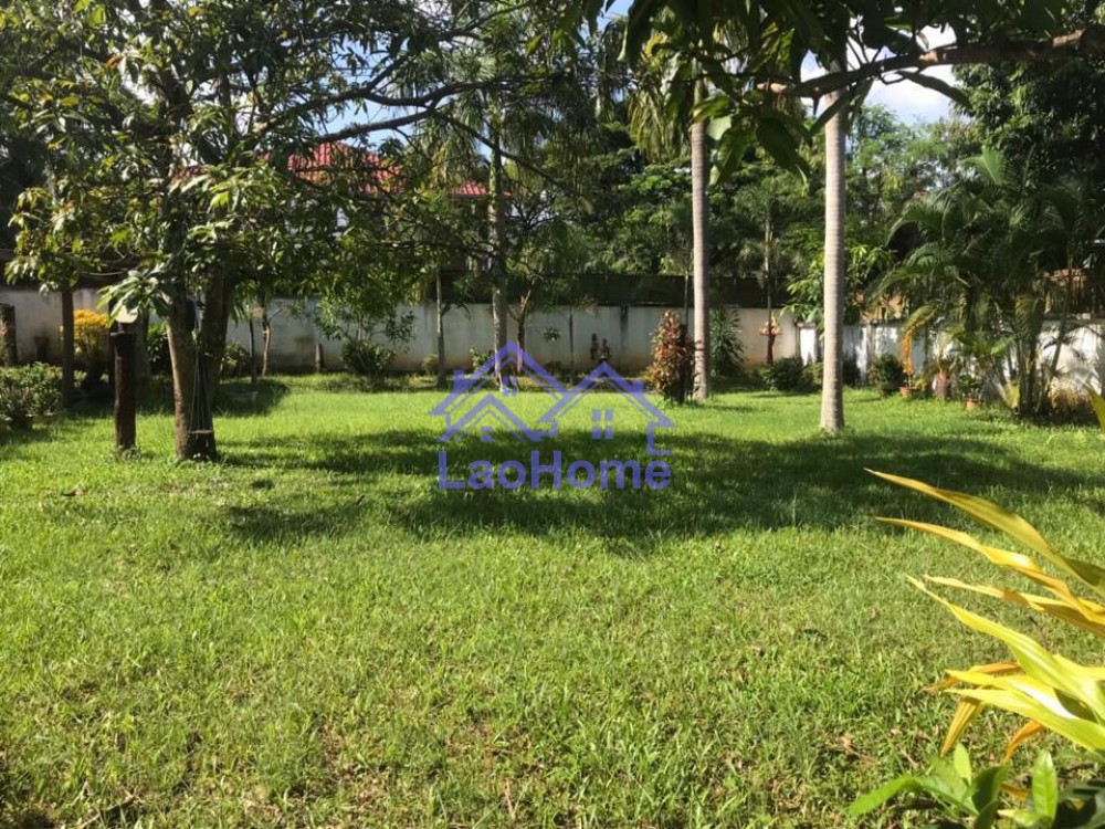 ID: 1191 - house for rent villa with large garden  