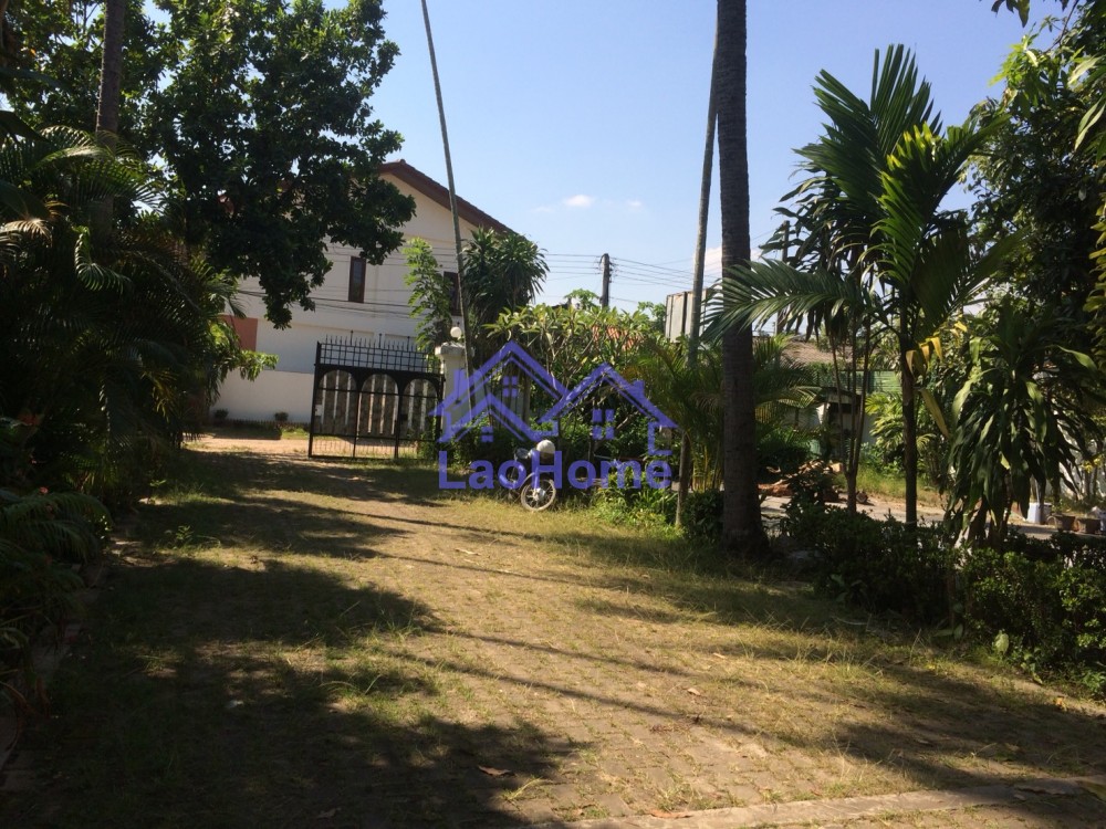 ID: 1273 - Beautiful house for rent with large garden and trees 