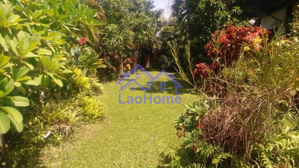 ID: 1282 - House for rent lao style with garden