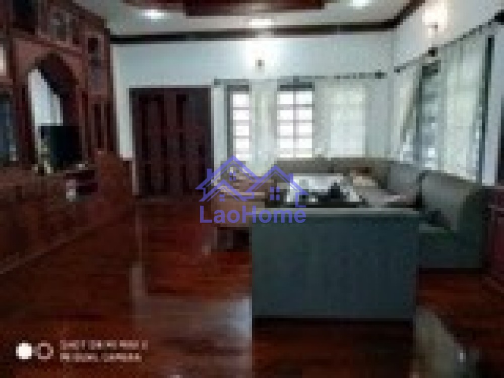 ID: 1374 - Modern house for rent with garden and trees