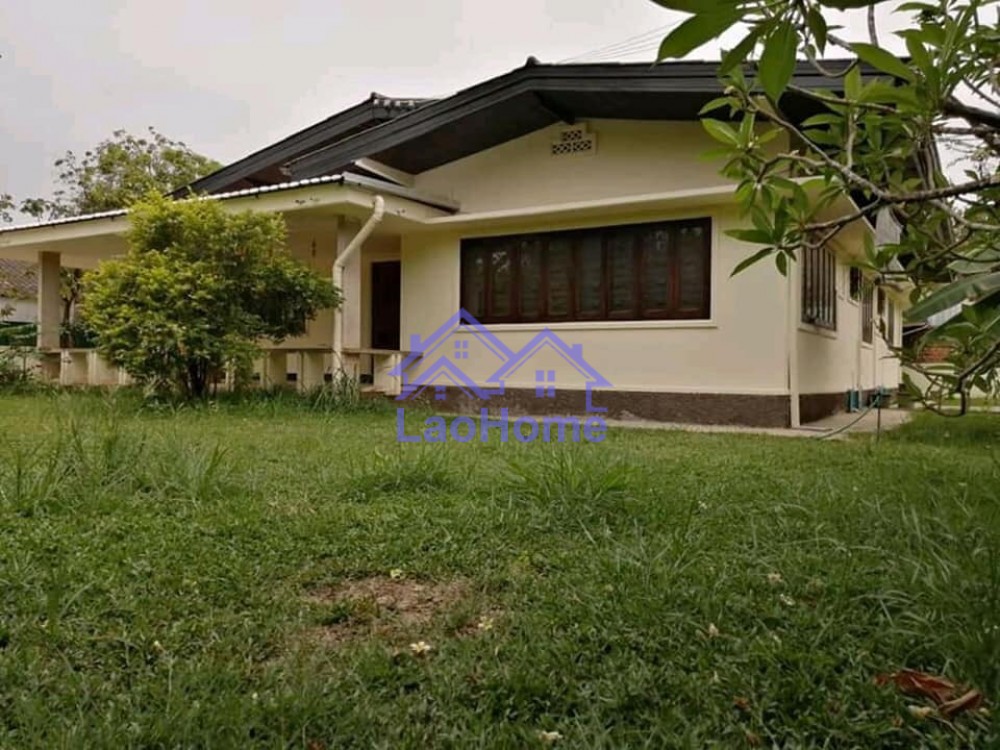 Villa house for rent with garden