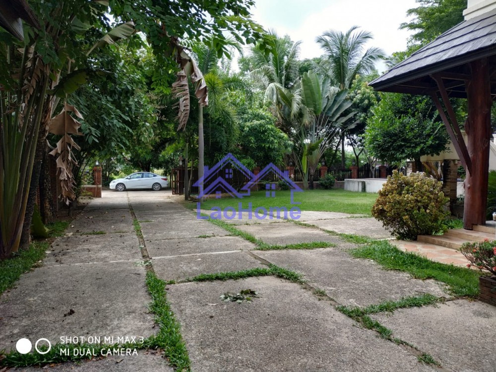 ID: 1401 - Modern Lao style house with garden and swimming pool 