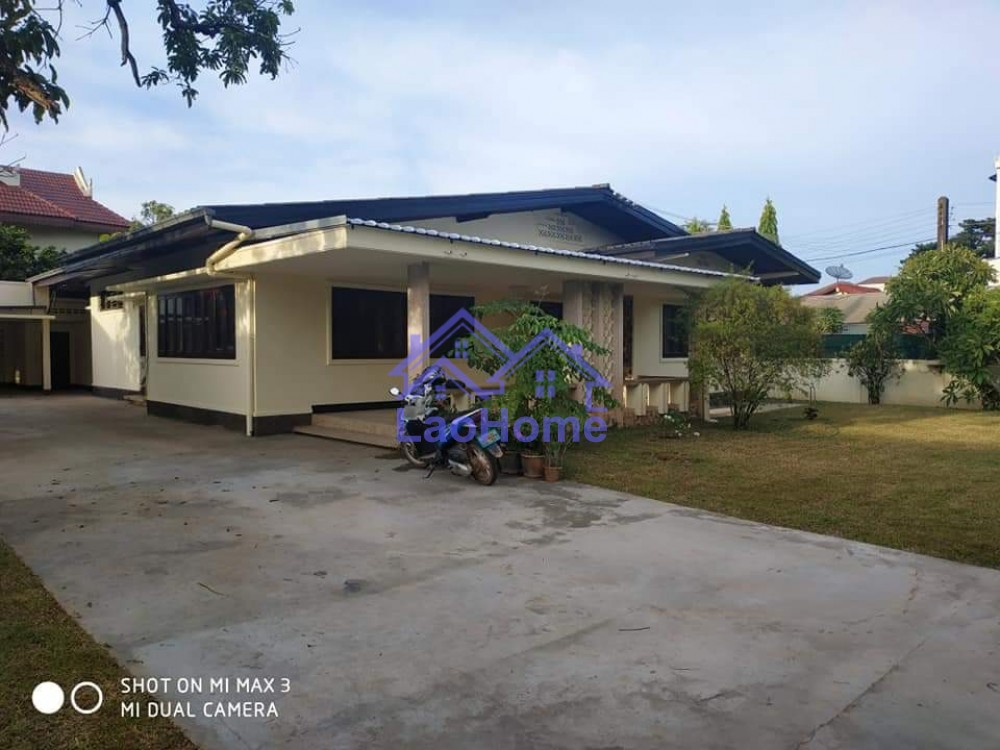 Villa house for rent with garden and tree