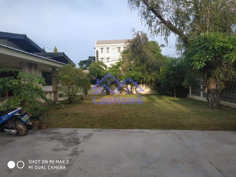 ID: 1405 - Villa house for rent with garden and tree