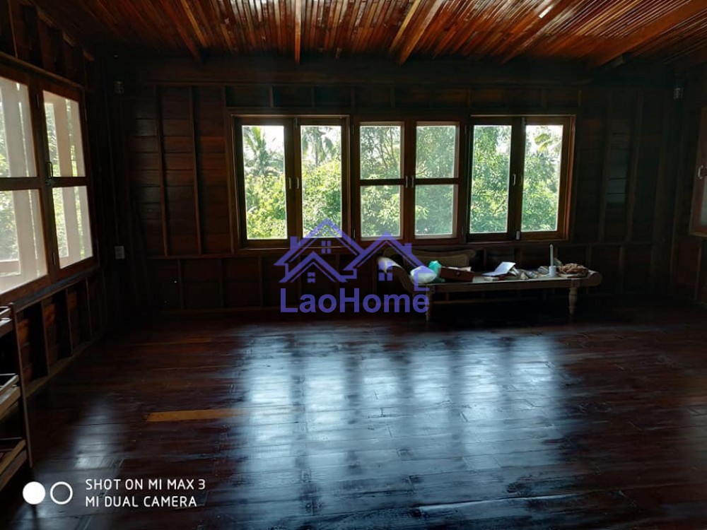 ID: 1409 - Modern Lao style house with garden and swimming pool 