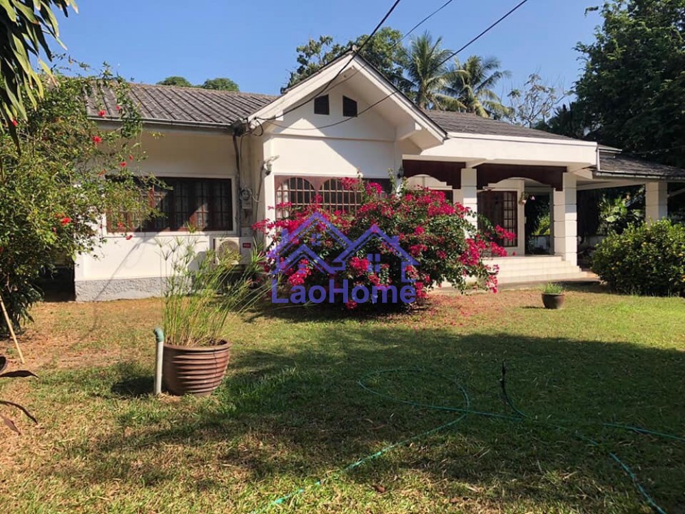 Modern house for rent with garden and trees